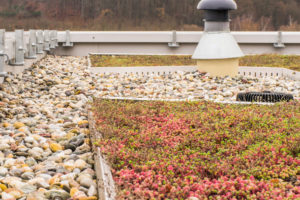 Flachdach Kiesdach und Dachbegrünung – Flat roof Gravel roof and roof greening