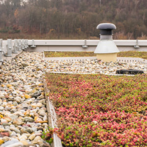 Flachdach Kiesdach und Dachbegrünung - Flat roof Gravel roof and roof greening